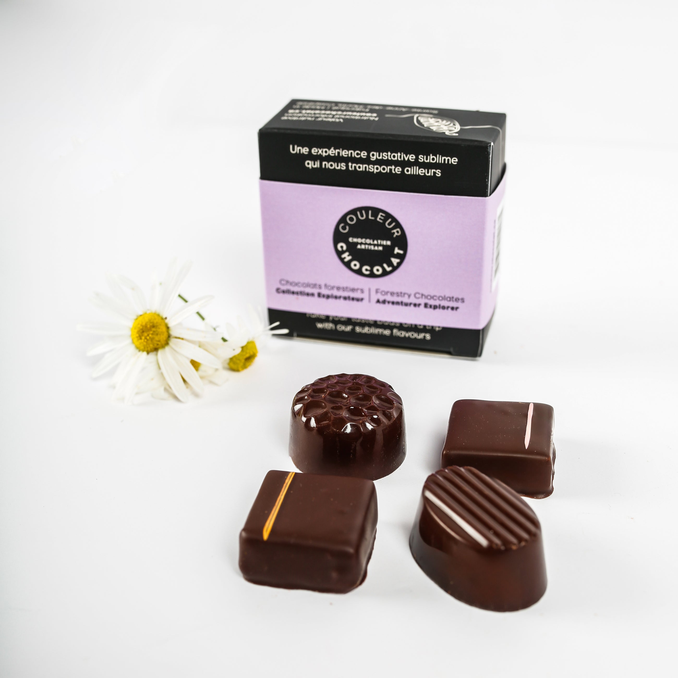 Chocolats forestiers, collection explorateur