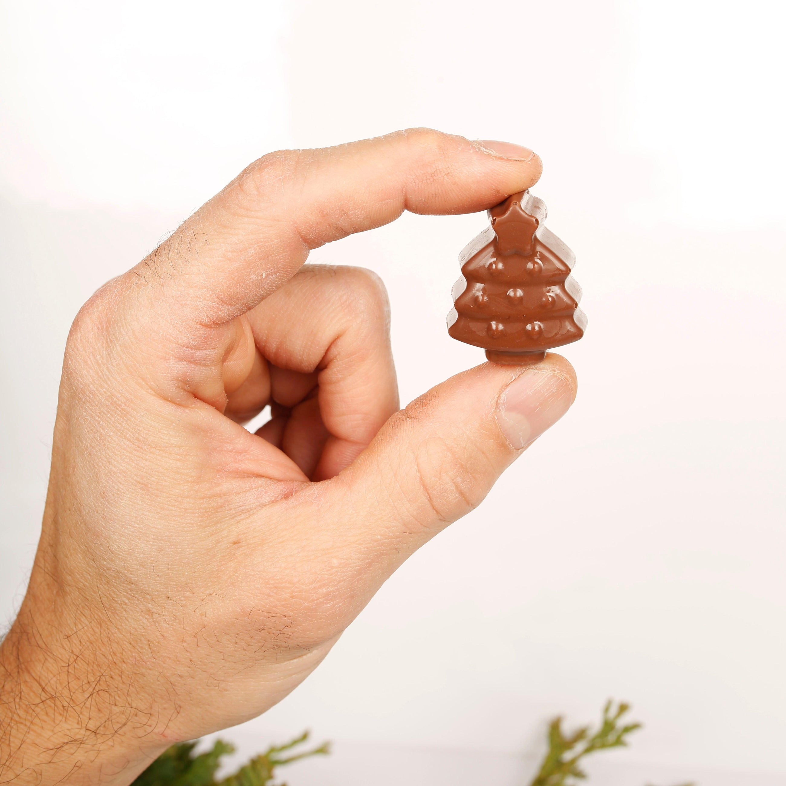 Bouchées des Fêtes