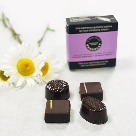 Forest chocolates, adventurer collection