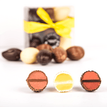 Collection minis cocos