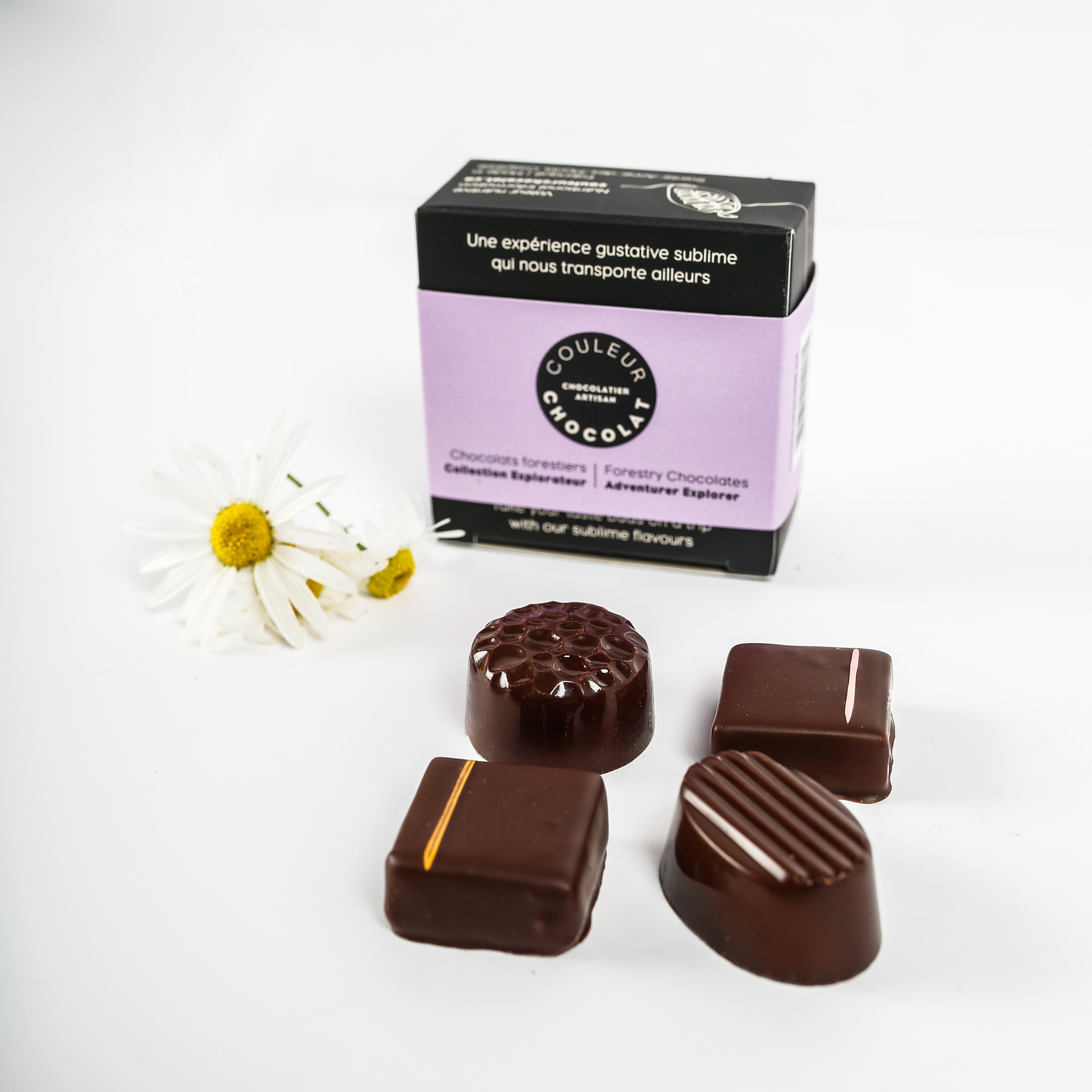 Chocolats forestiers, collection explorateur | Couleur Chocolat