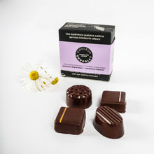 Chocolats forestiers, collection explorateur