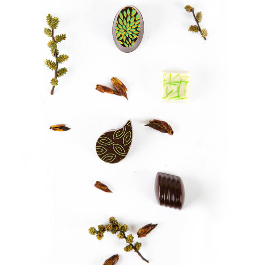 Chocolats forestiers, collection aventurier