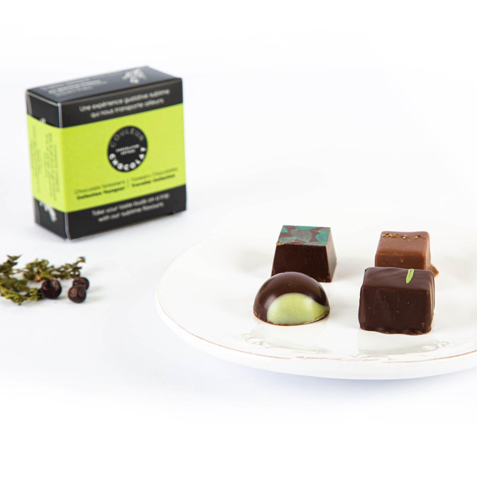 Chocolats forestiers, collection voyageur