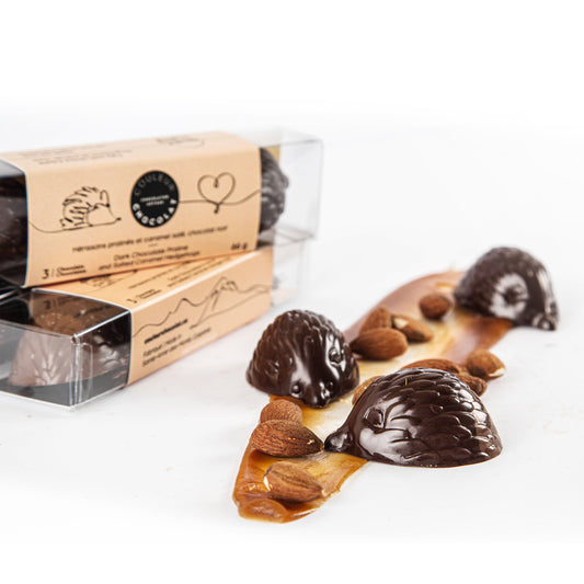 Almond and caramel hedgehogs