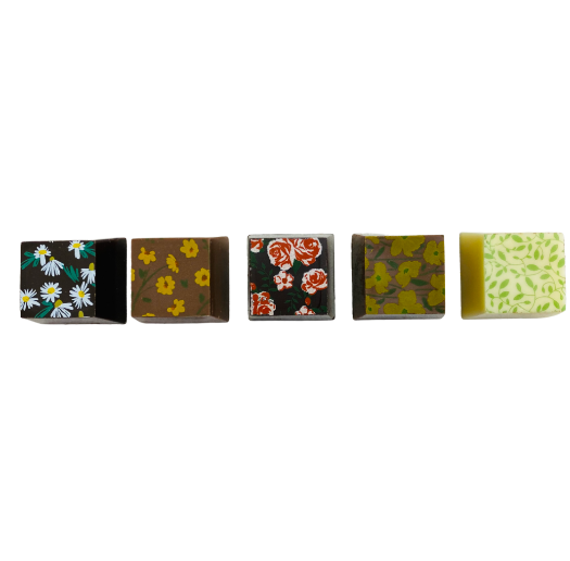5 pieces of chocolate with exotic fruits
